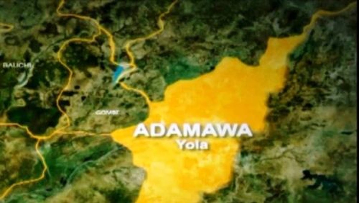 FG Probes Mysterious Flesh-Eating Disease After 7 Deaths in Adamawa