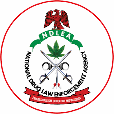 NDLEA Destroys 8,000 kg of Illicit Drugs in Yobe